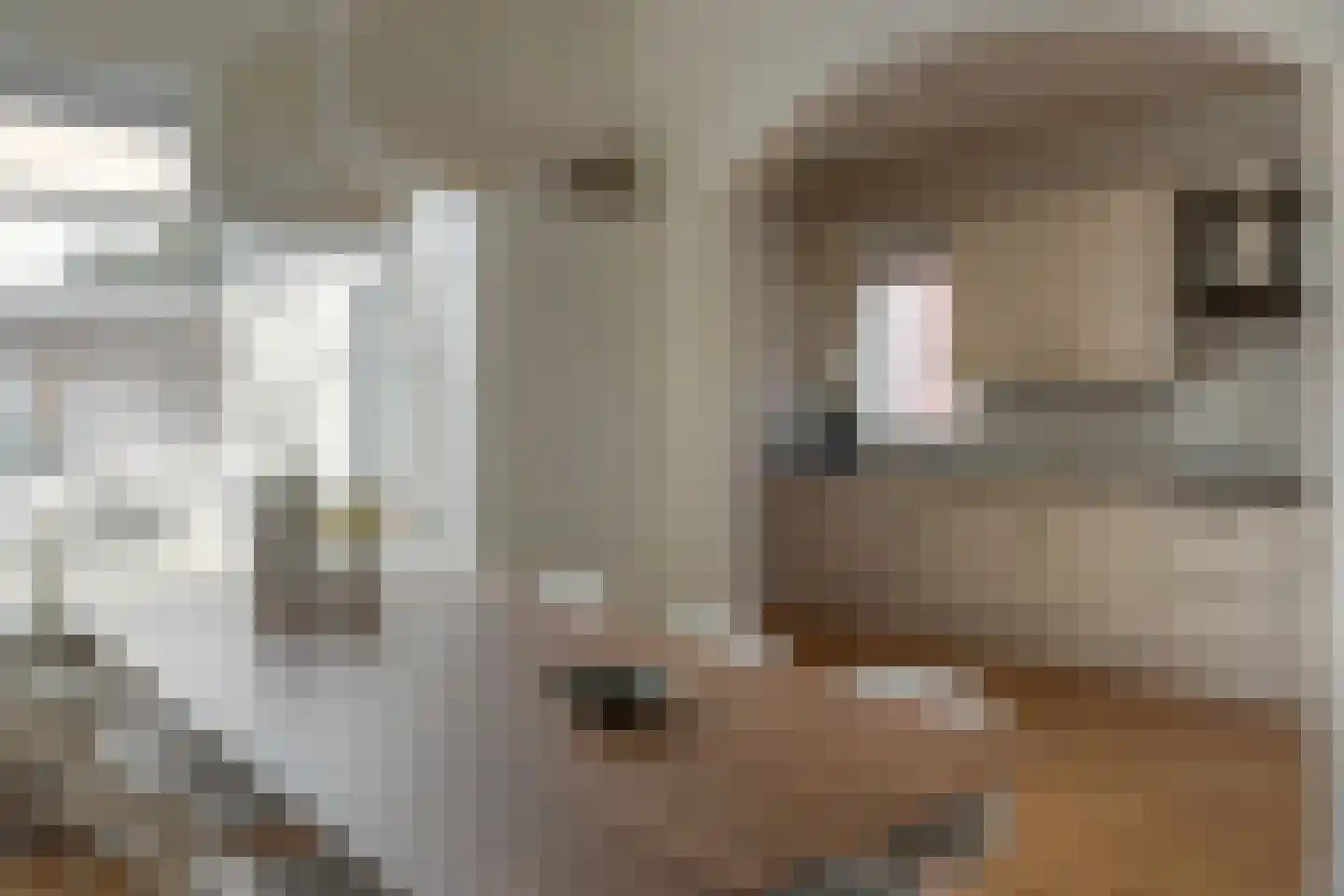 Stationsweg 247 Drachten thumbnail 28