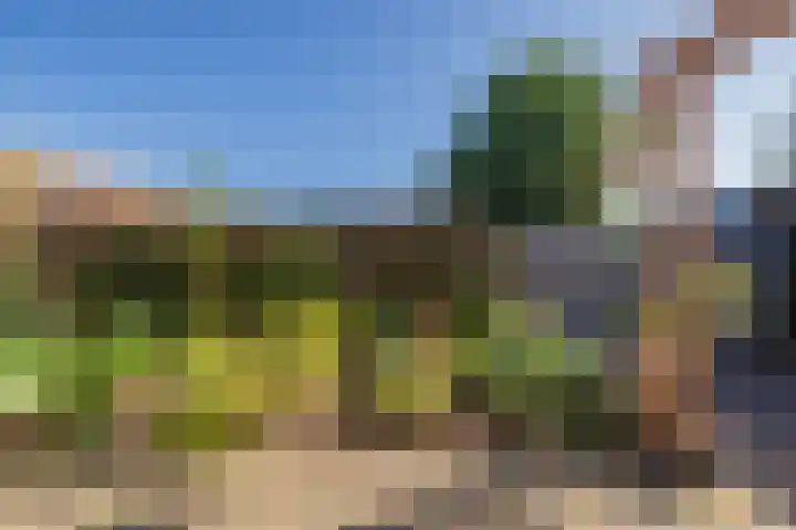 Stationsweg 248 Hillegom thumbnail 16
