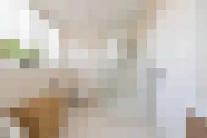 Stationsweg 248 Hillegom thumbnail 28