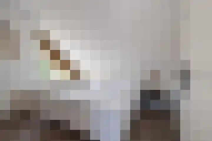 Stationsweg 248 Hillegom thumbnail 33