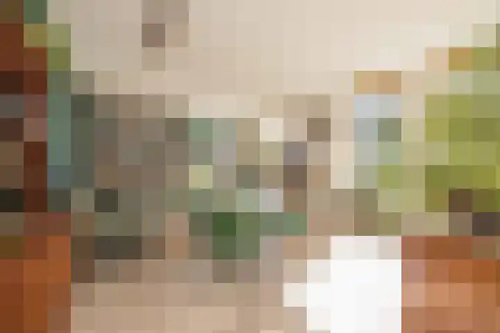 Stationsweg 248 Hillegom thumbnail 7