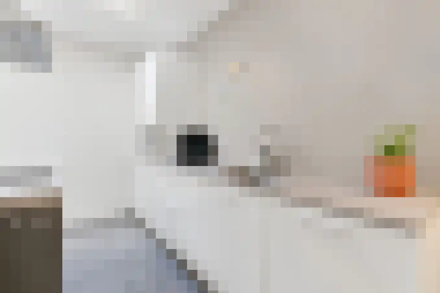Stationsweg 26 Maarssen thumbnail 21