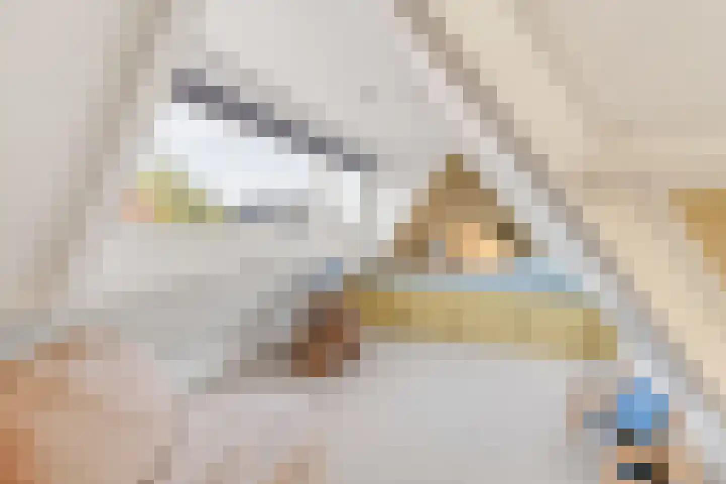 Stationsweg 26 Maarssen thumbnail 42
