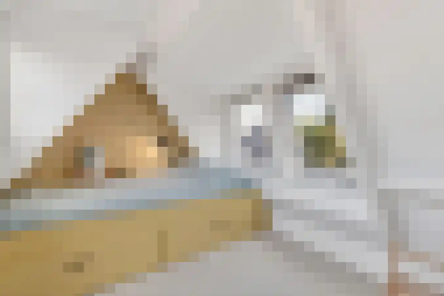 Stationsweg 26 Maarssen thumbnail 43