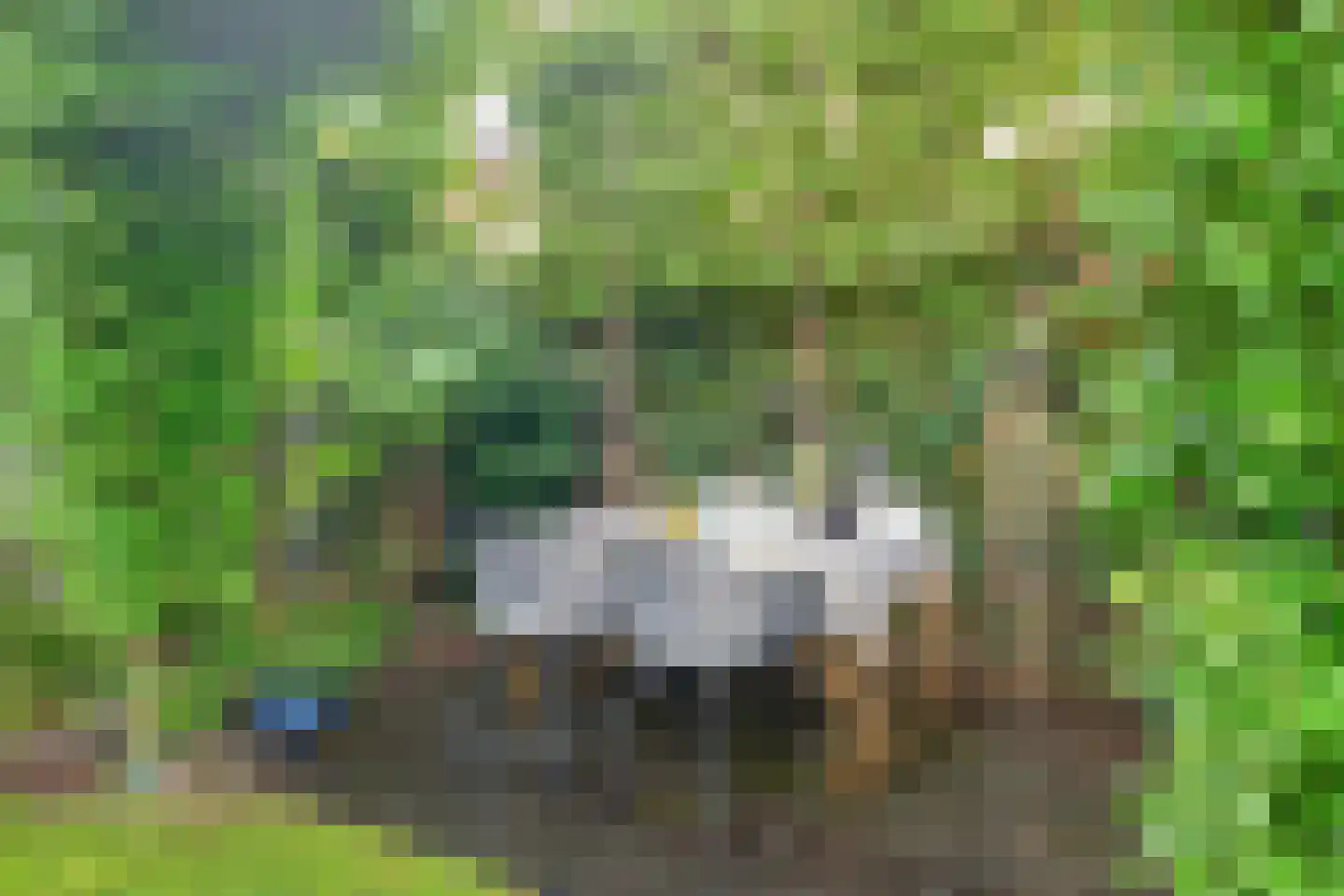 Stationsweg 26 Maarssen thumbnail 49