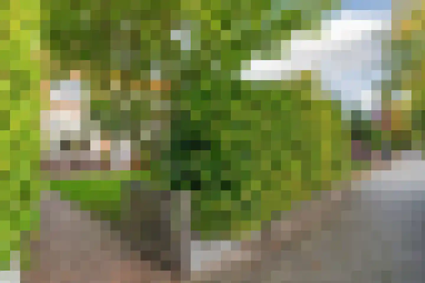 Stationsweg 26 Maarssen thumbnail 56