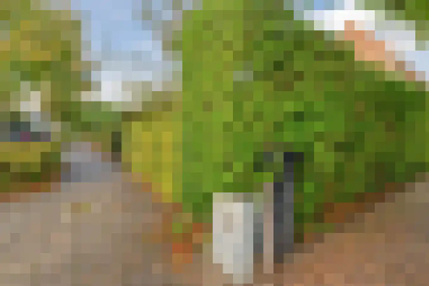 Stationsweg 26 Maarssen thumbnail 57