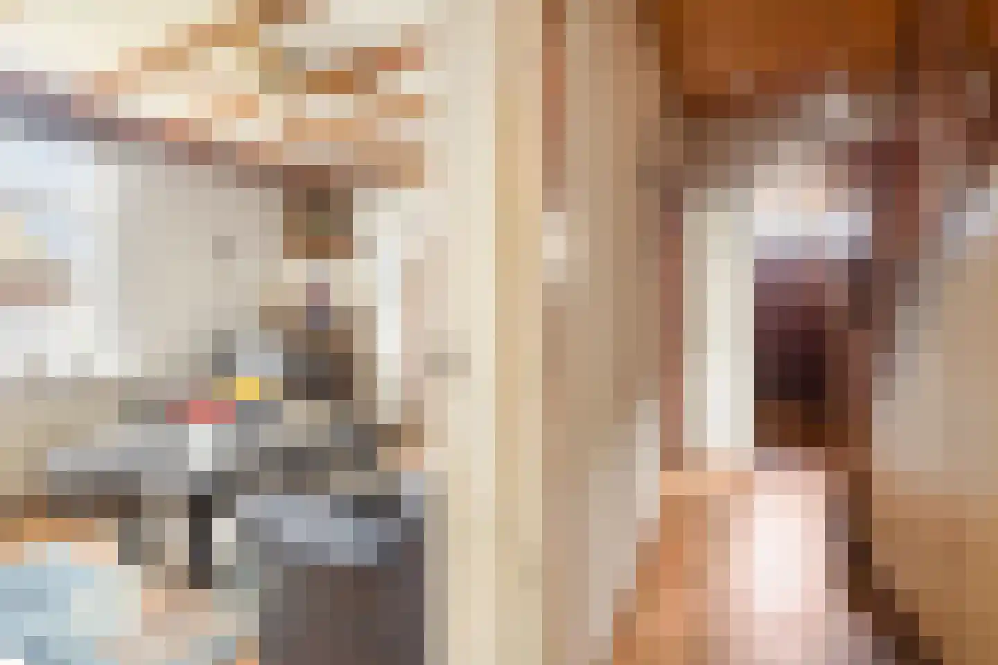 Stationsweg 26 Maasbracht thumbnail 17
