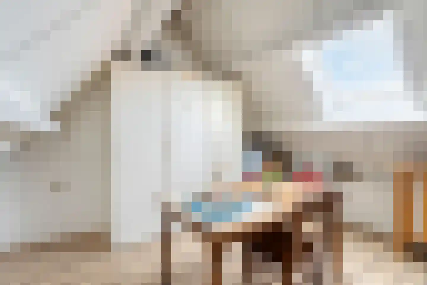 Stationsweg 26 Maasbracht thumbnail 22