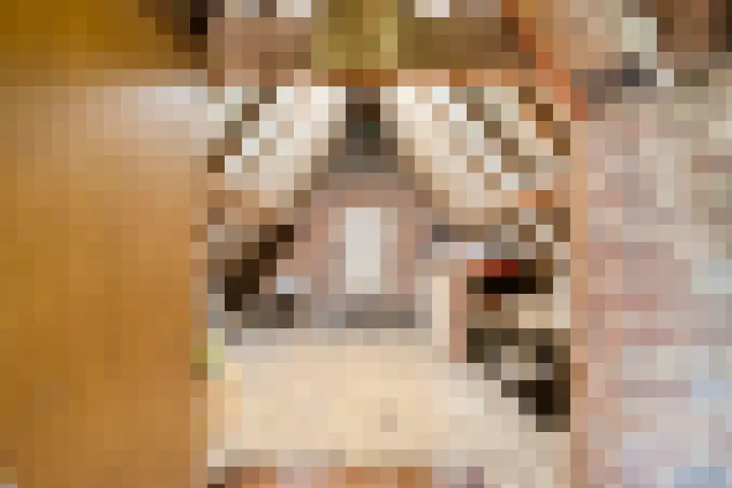 Stationsweg 26 Maasbracht thumbnail 30