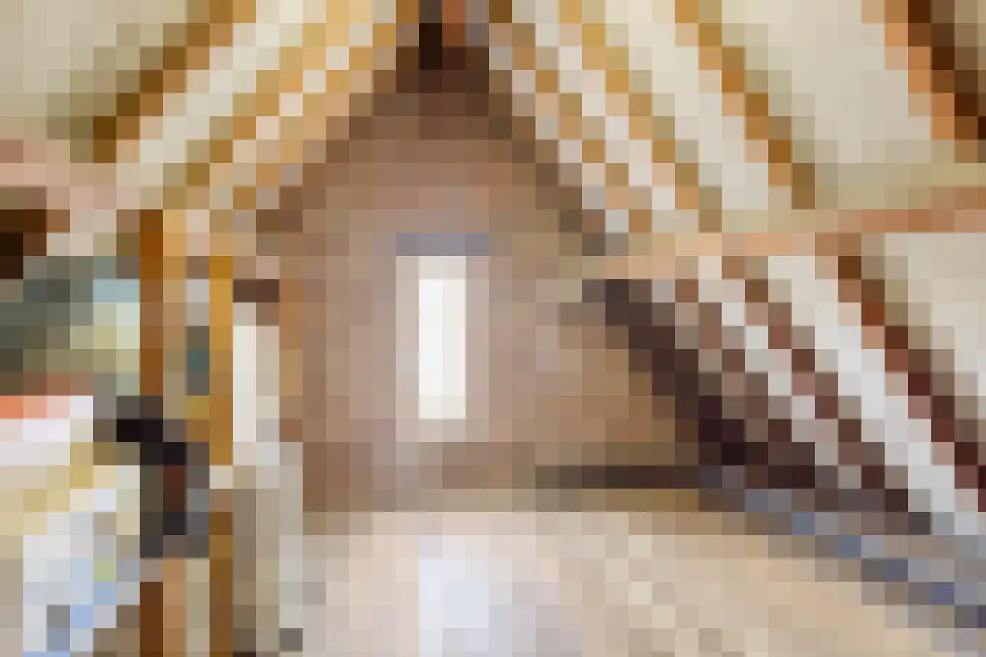 Stationsweg 26 Maasbracht thumbnail 31