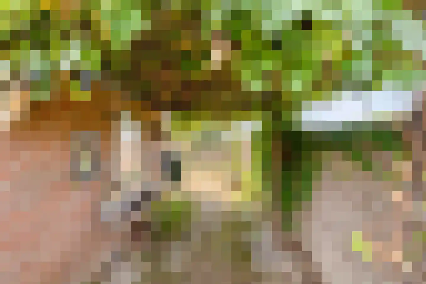 Stationsweg 26 Maasbracht thumbnail 36