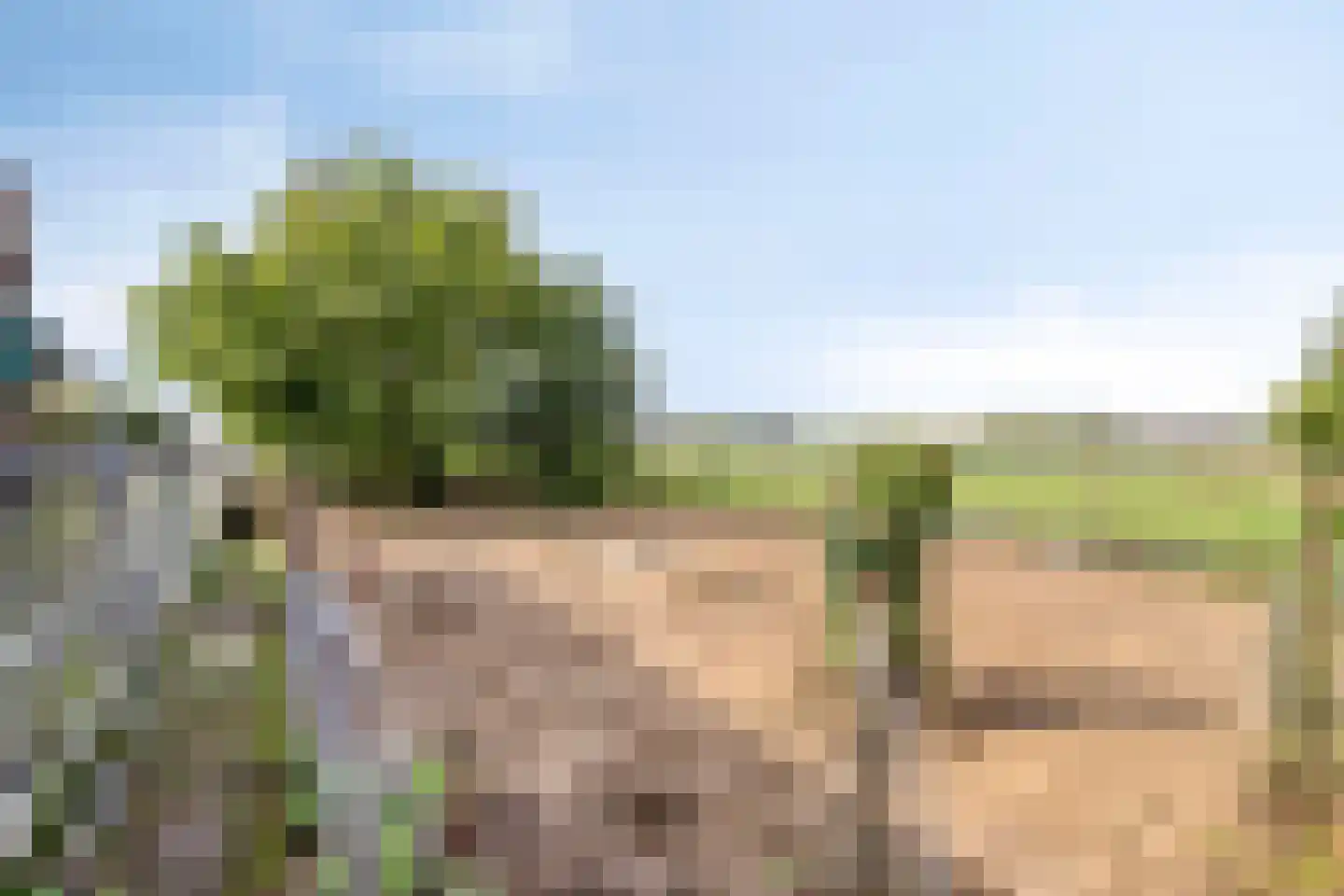 Stationsweg 26 Maasbracht thumbnail 41