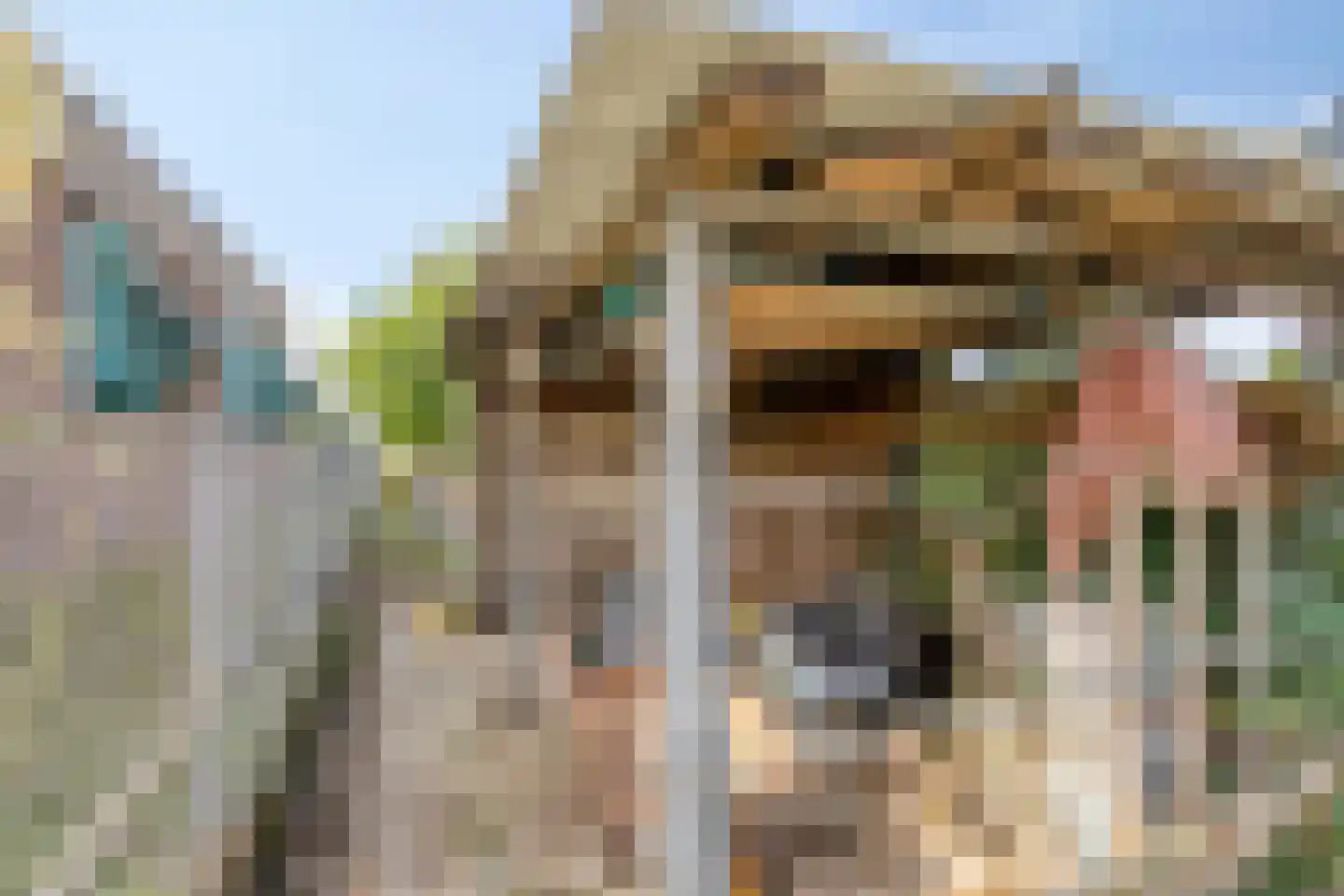 Stationsweg 26 Maasbracht thumbnail 42