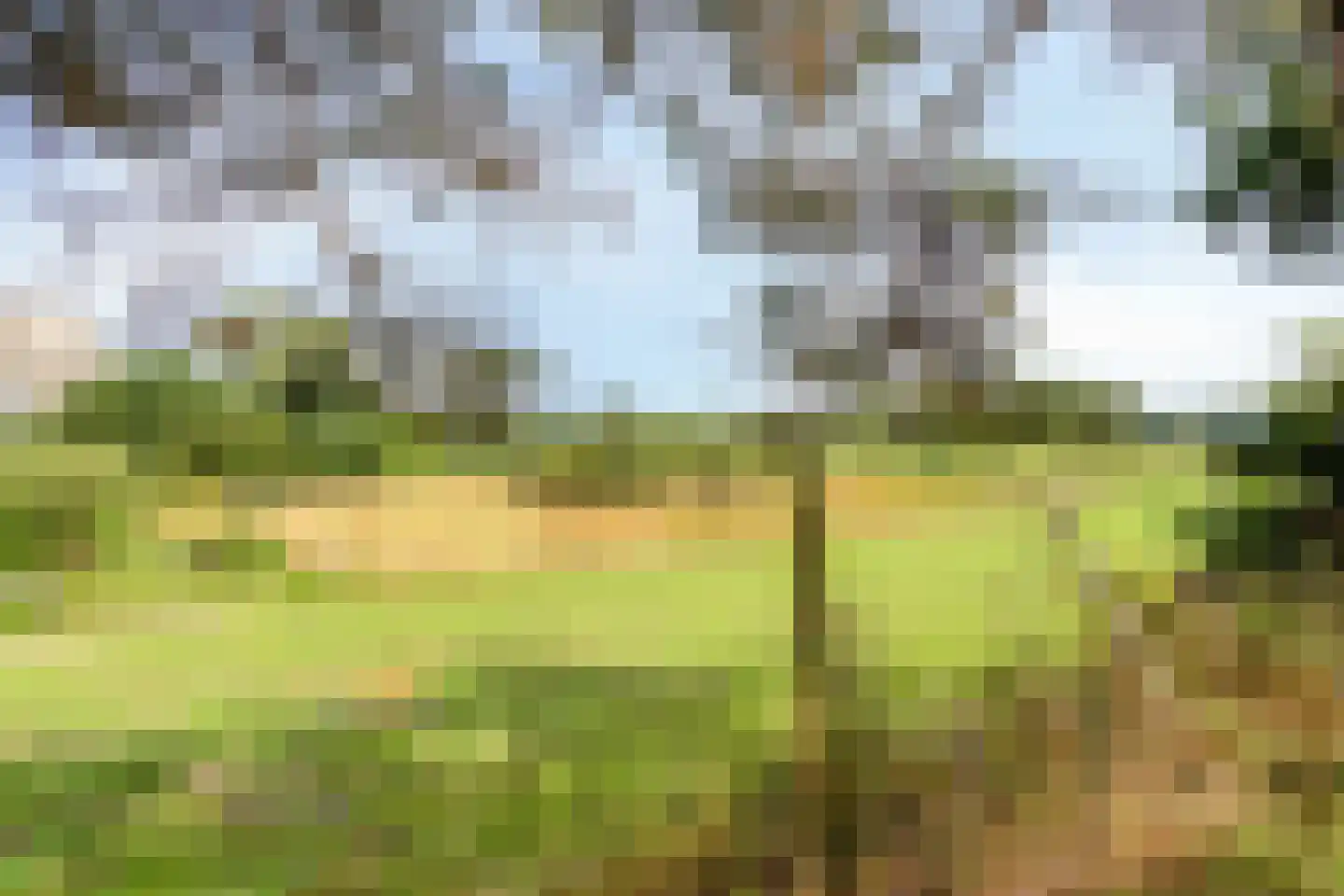 Stationsweg 26 Maasbracht thumbnail 47