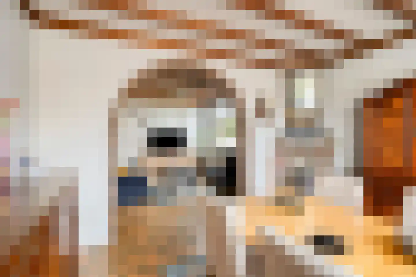 Stationsweg 26 Maasbracht thumbnail 8