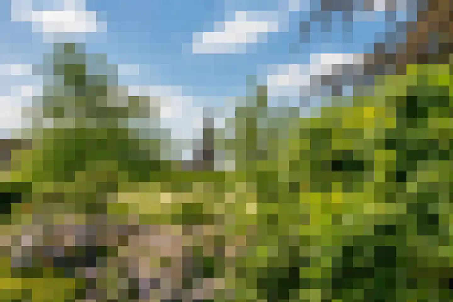 Stationsweg 27 Venray thumbnail 18