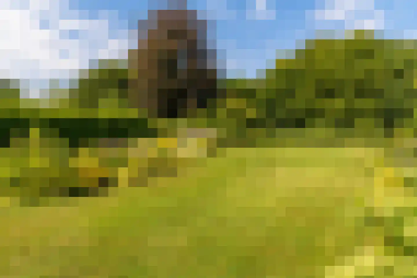Stationsweg 27 Venray thumbnail 19