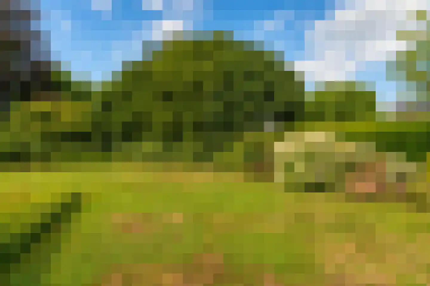 Stationsweg 27 Venray thumbnail 20