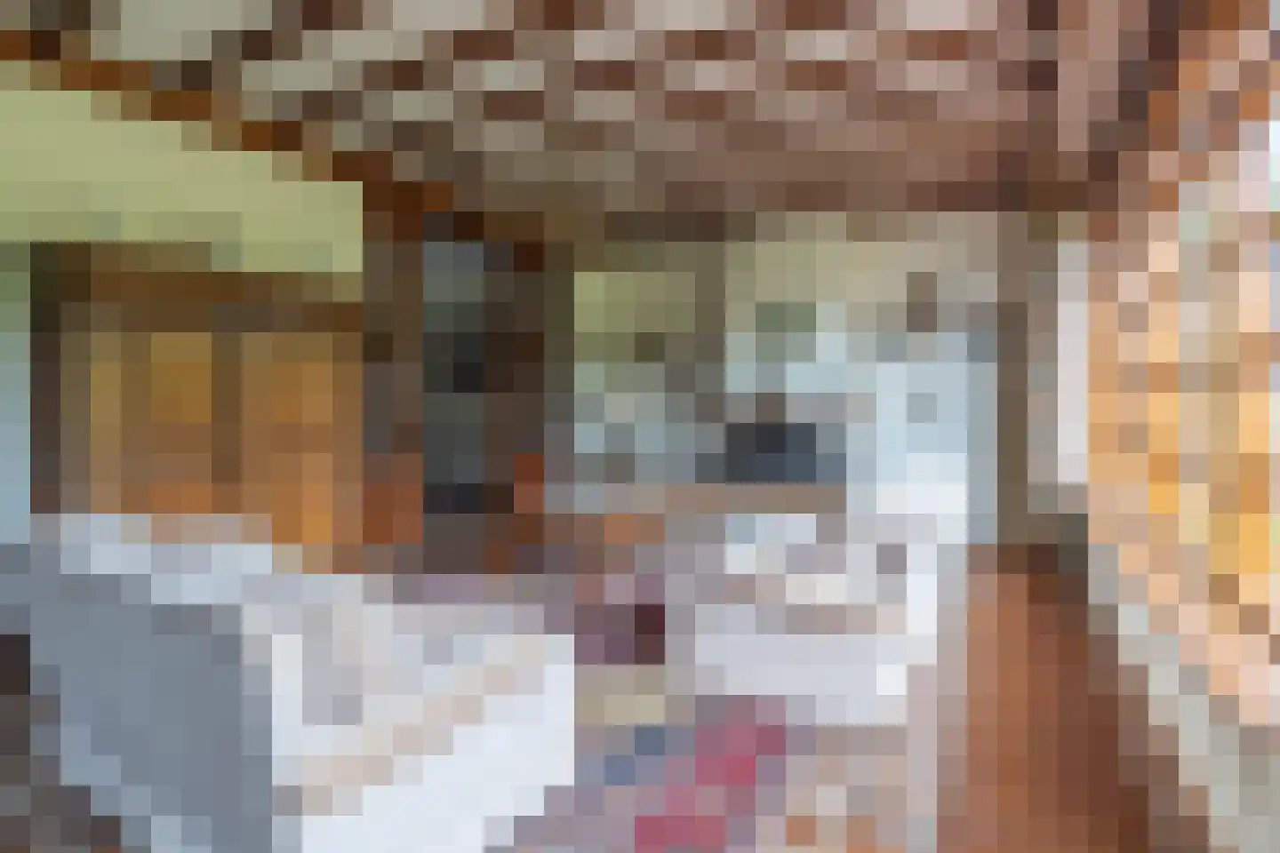 Stationsweg 27 Venray thumbnail 42