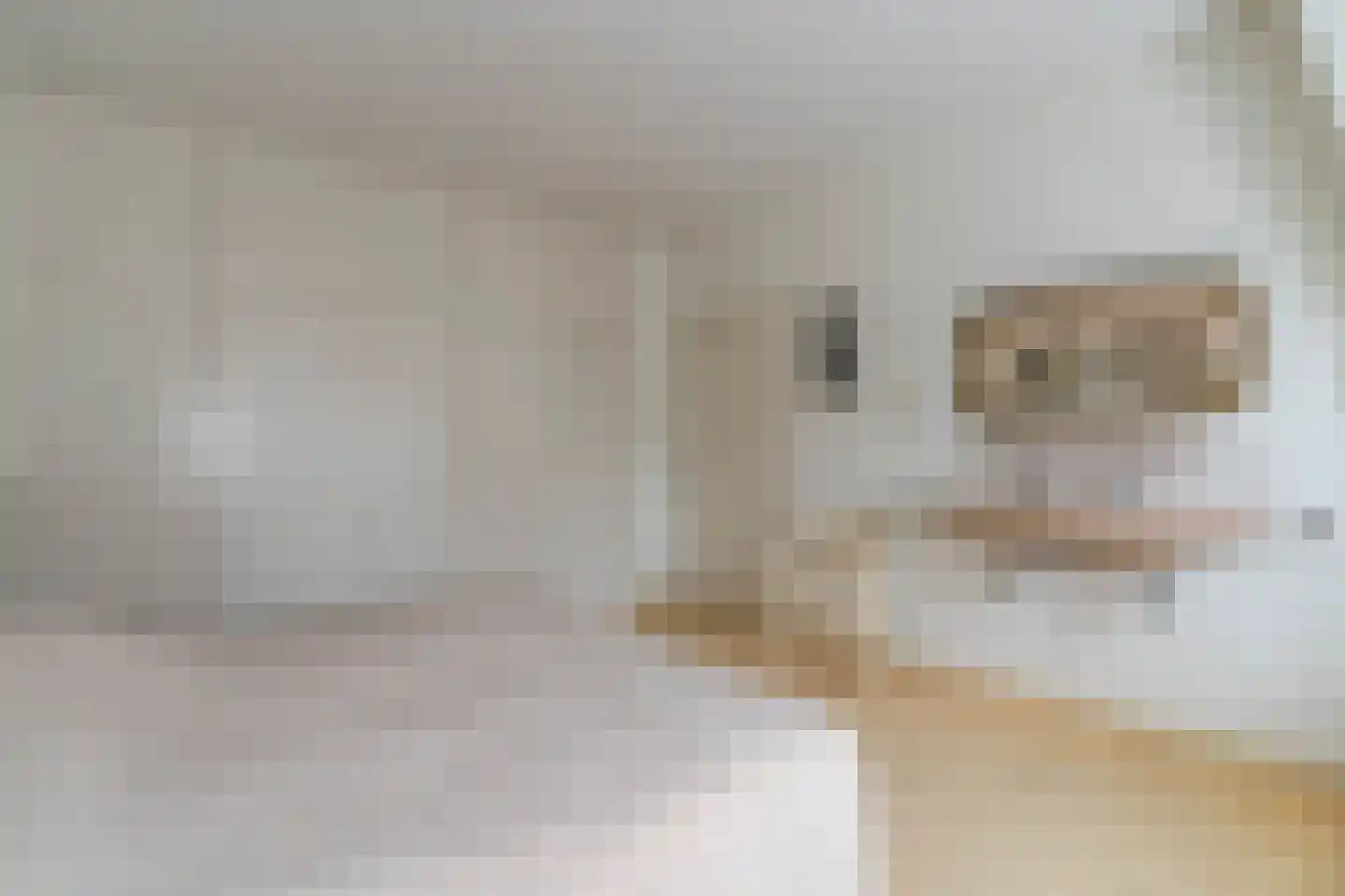 Stationsweg 27 Venray thumbnail 60
