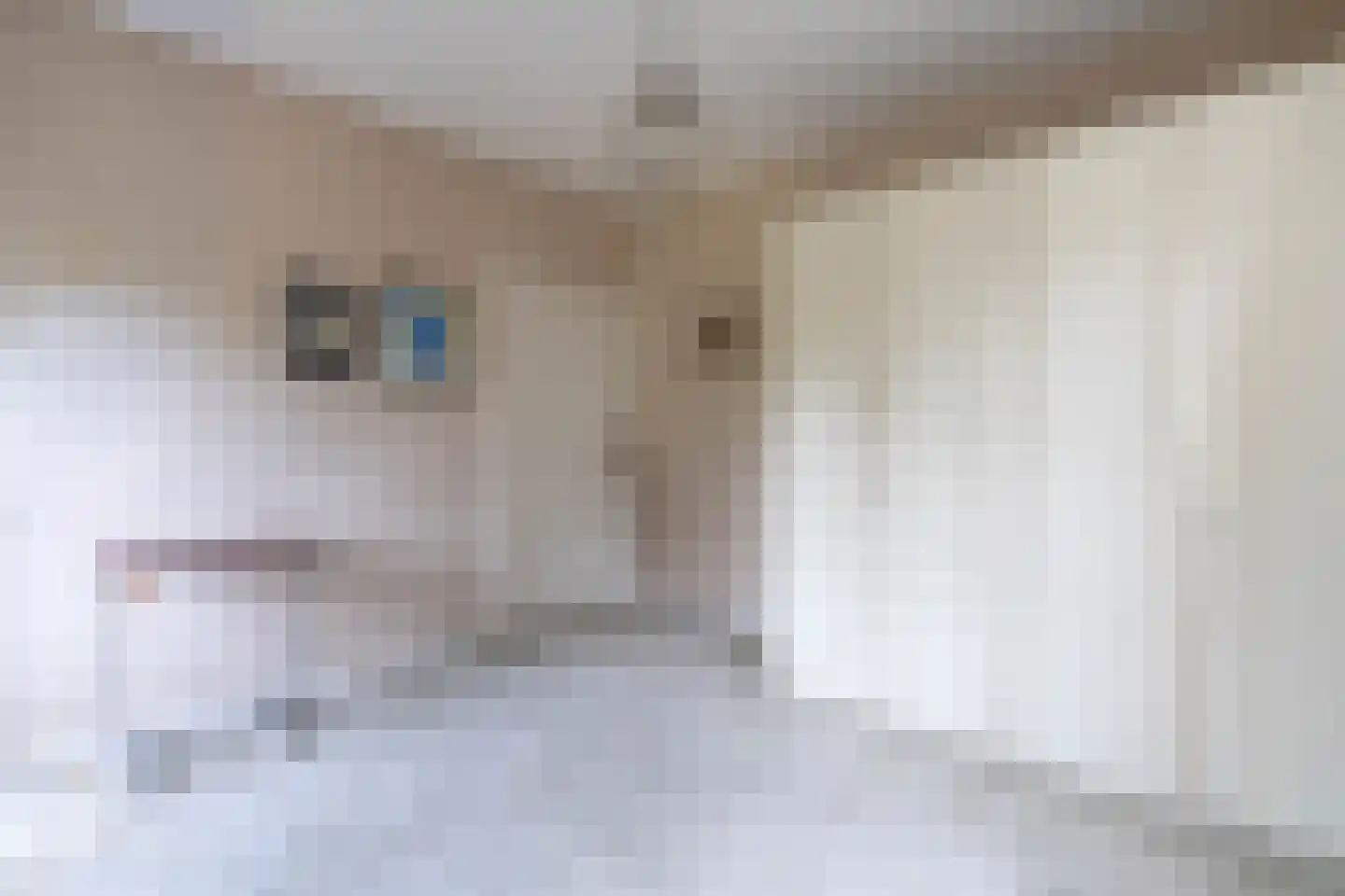 Stationsweg 27 Venray thumbnail 65