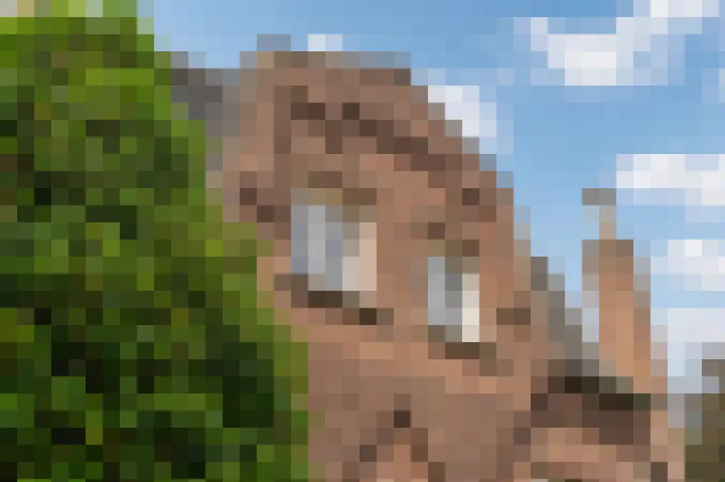Stationsweg 27 Venray thumbnail 9