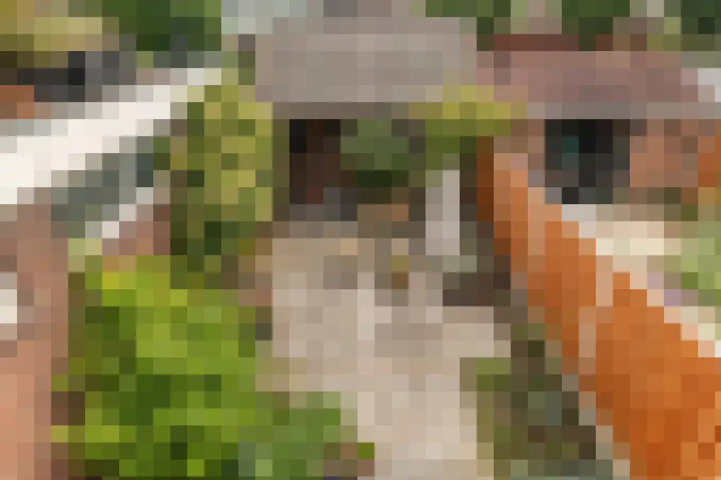 Stationsweg 28 Alkmaar thumbnail 25