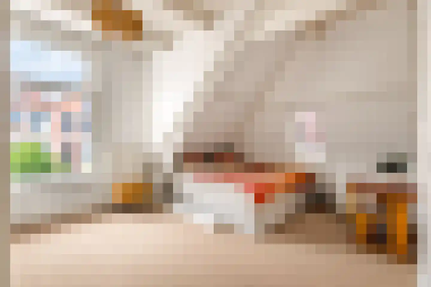 Stationsweg 28 Alkmaar thumbnail 26