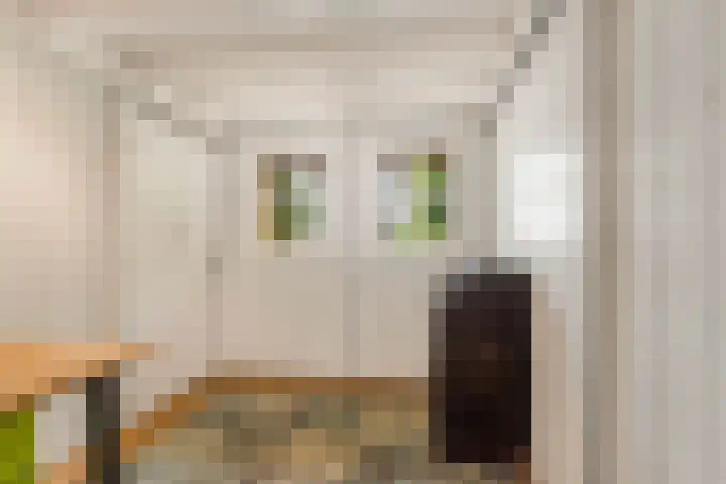 Stationsweg 28 Alkmaar thumbnail 36