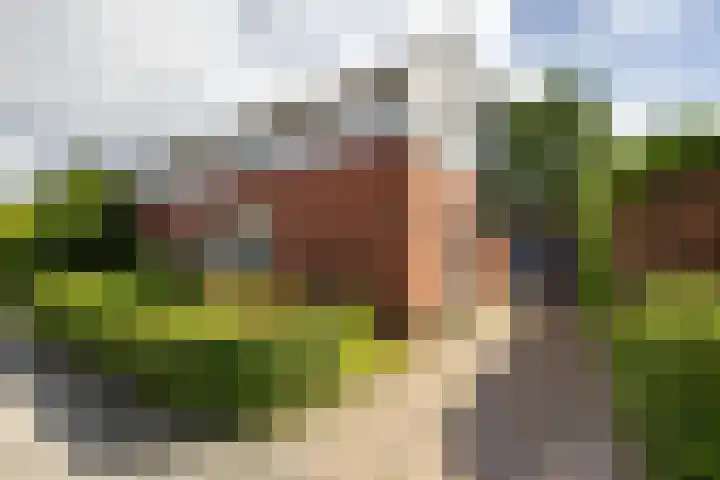 Stationsweg 28 Appingedam foto 2