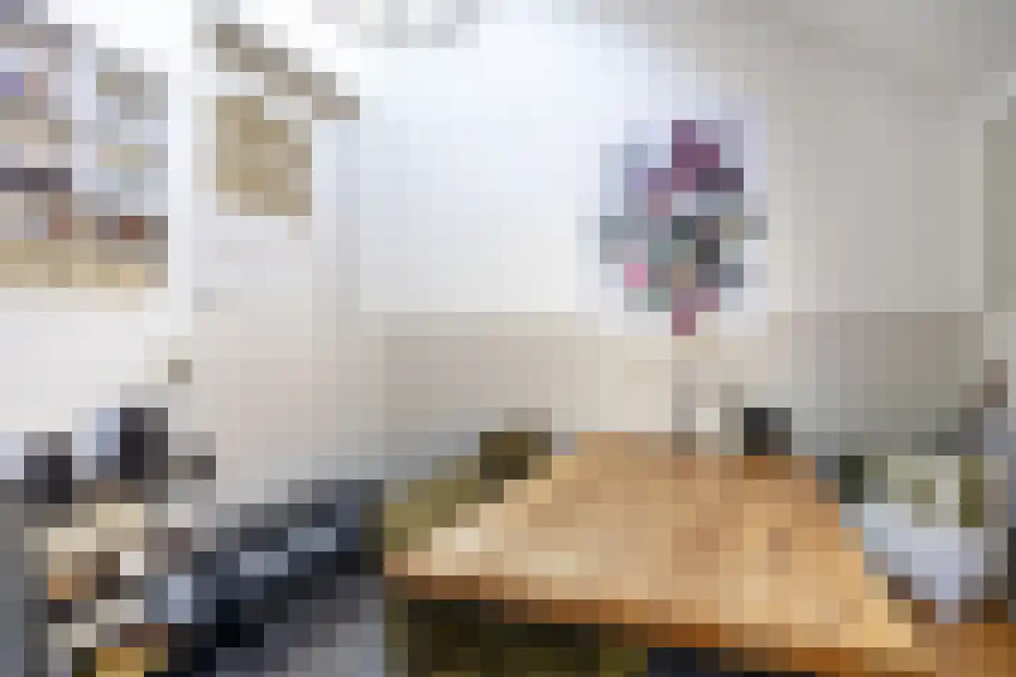 Stationsweg 28 Bedum thumbnail 22