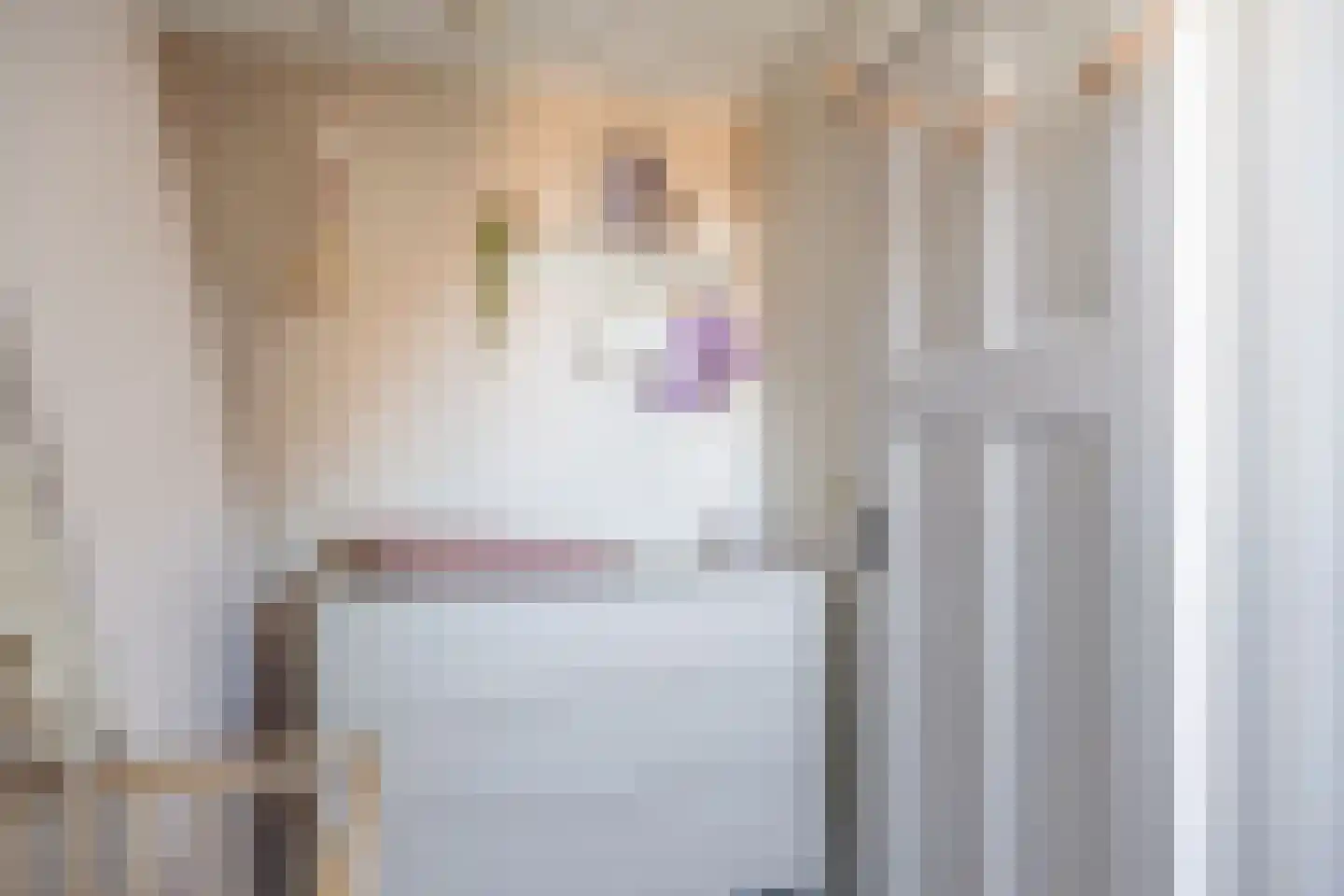 Stationsweg 28 Bedum thumbnail 33