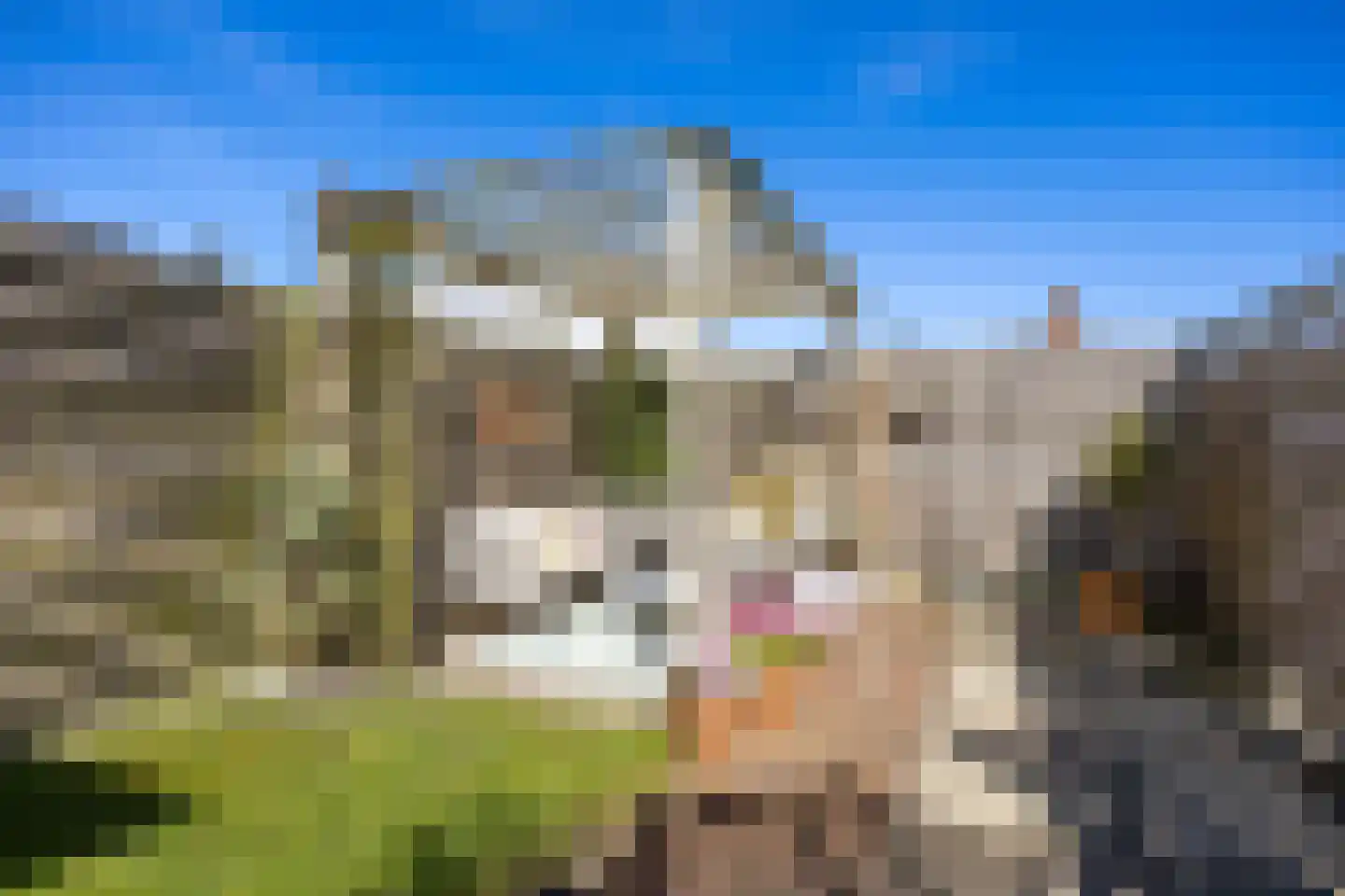 Stationsweg 28 Bedum thumbnail 39