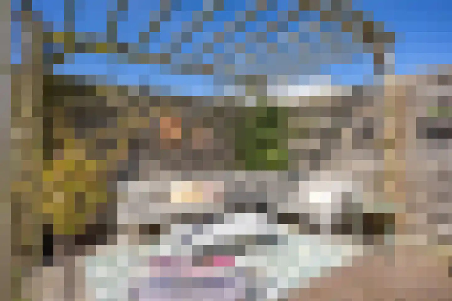 Stationsweg 28 Bedum thumbnail 40