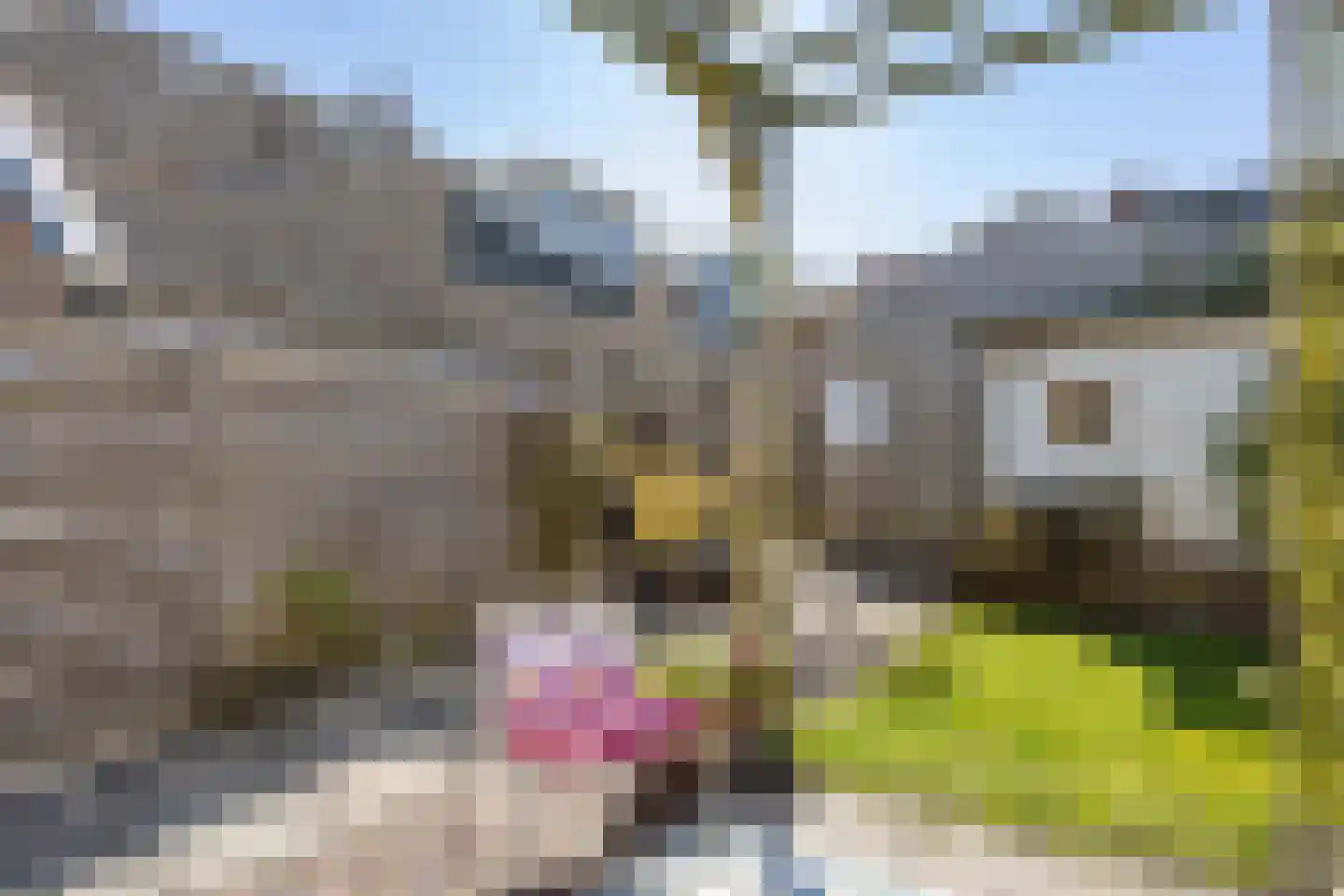 Stationsweg 28 Bedum thumbnail 42