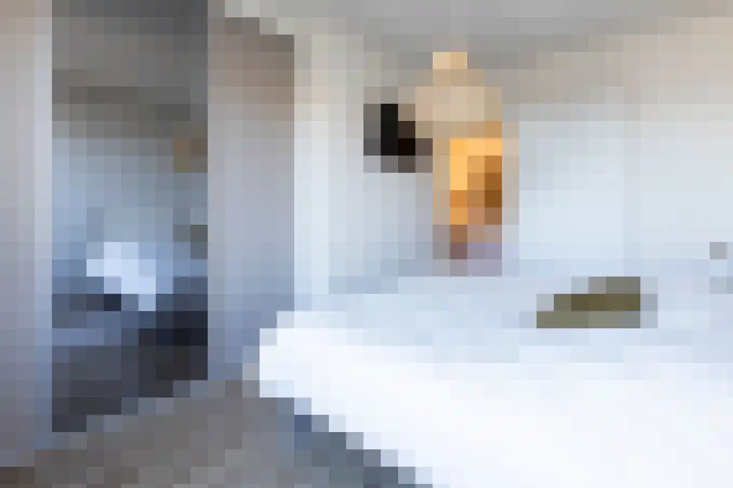 Stationsweg 28 C Ede thumbnail 28