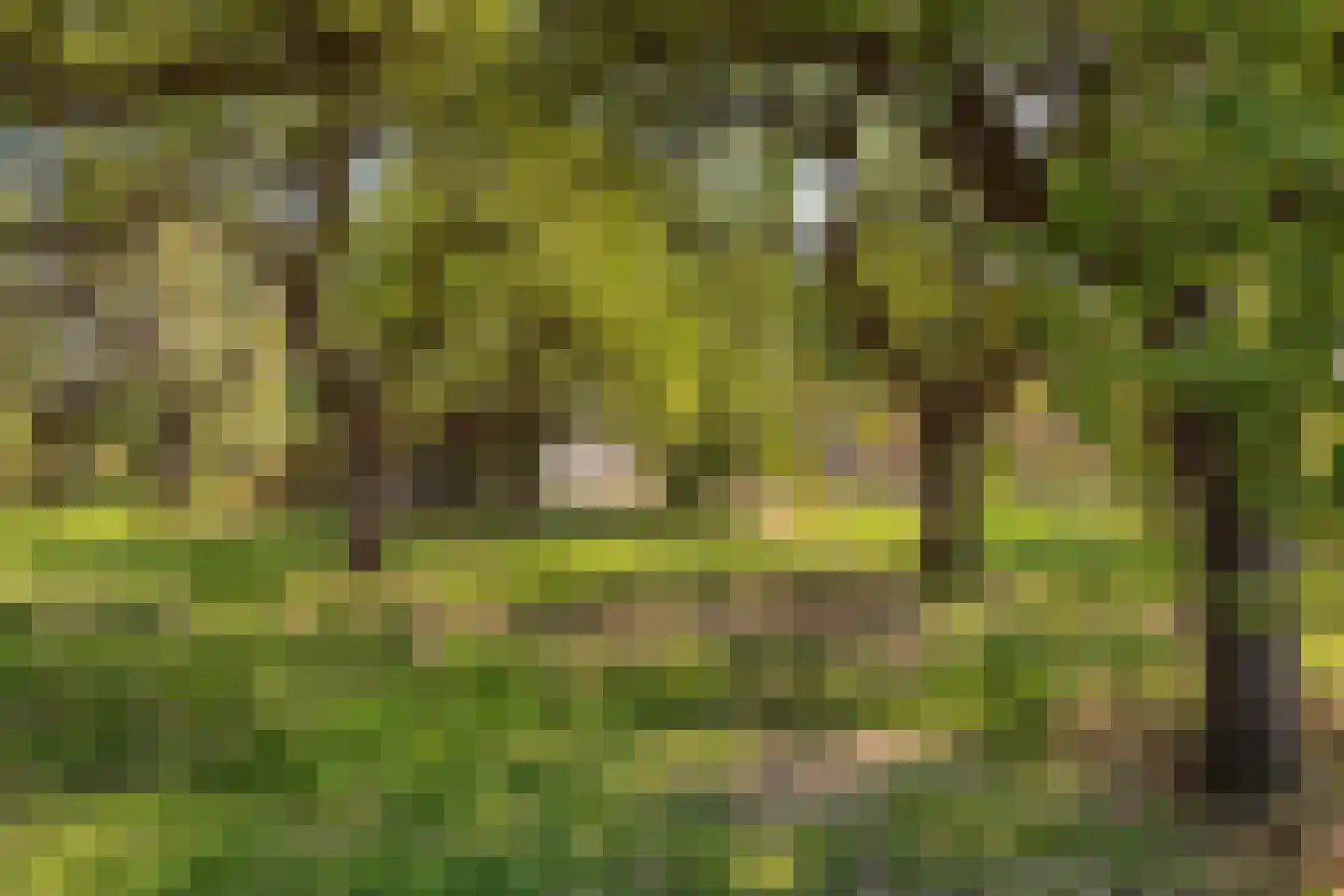 Stationsweg 28 Wadenoijen thumbnail 28