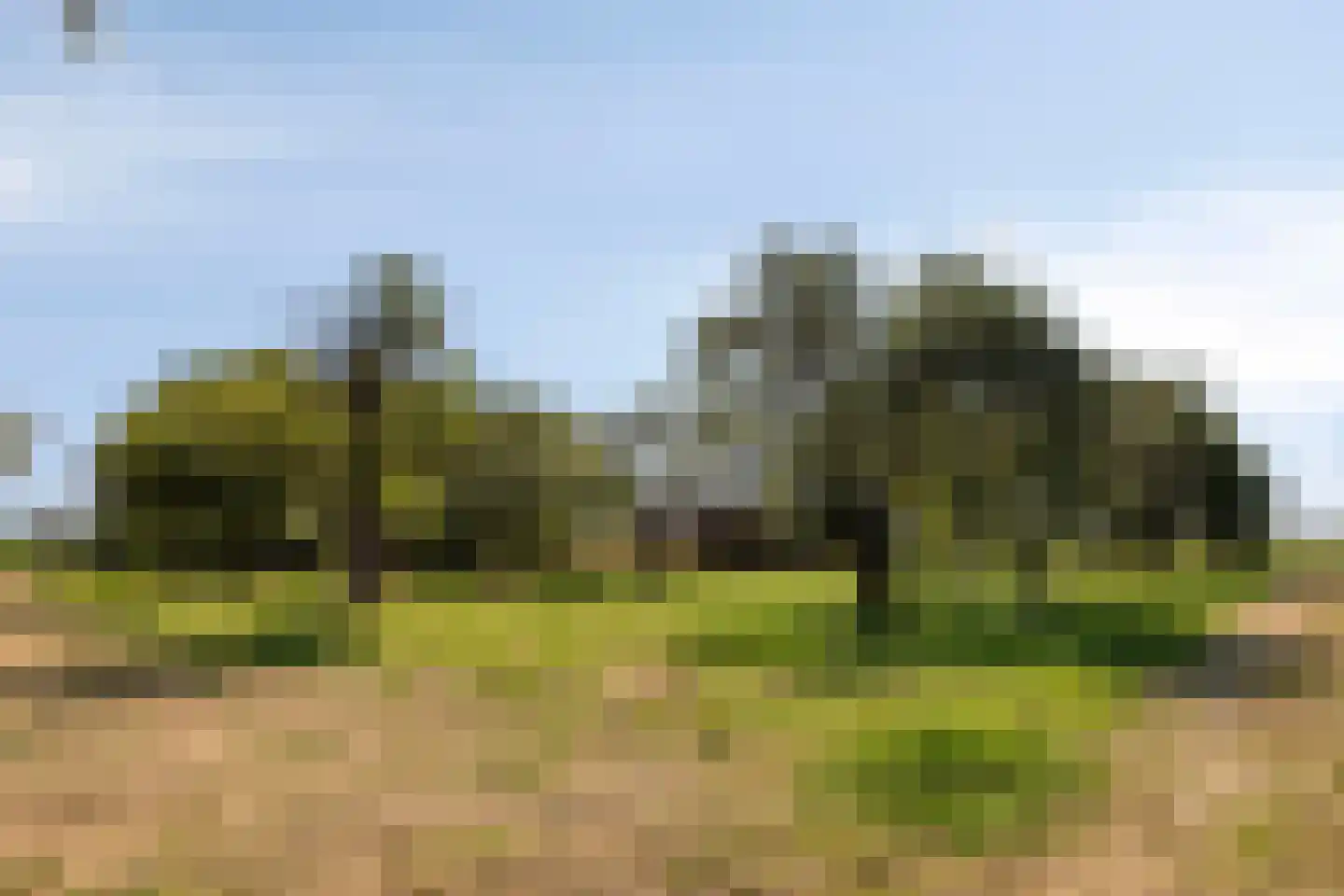 Stationsweg 28 Wadenoijen thumbnail 29