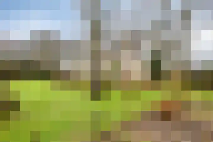Stationsweg 3 Nuenen thumbnail 38
