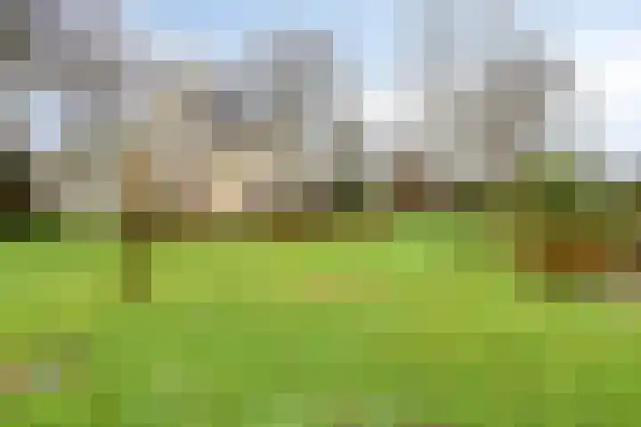 Stationsweg 3 Nuenen thumbnail 4