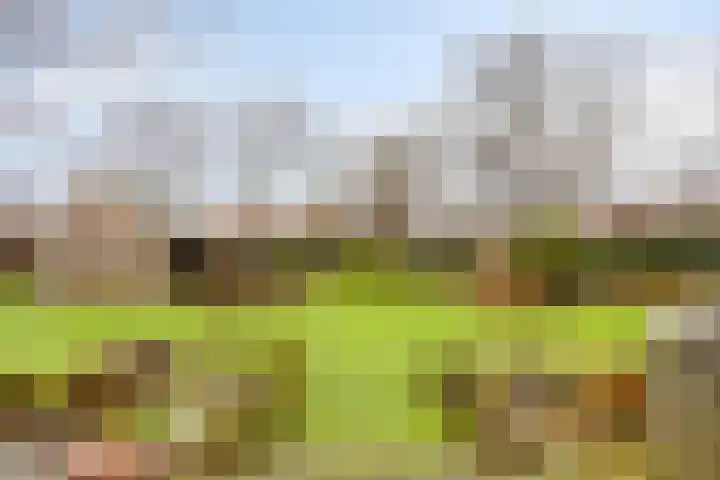Stationsweg 3 Nuenen thumbnail 44