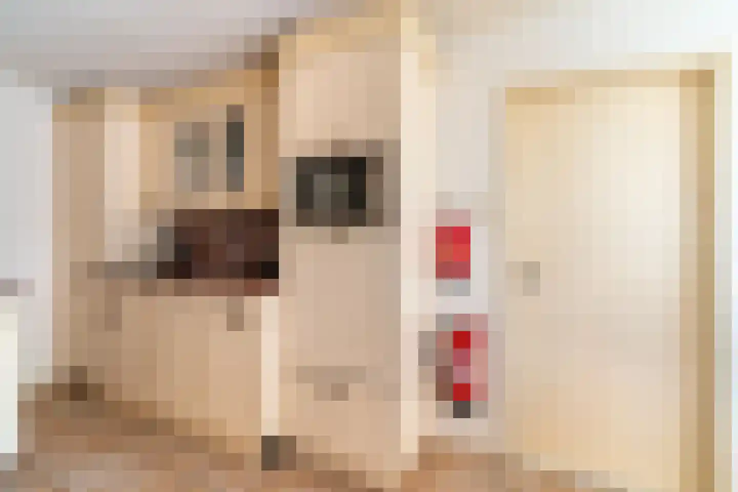 Stationsweg 3 Wezep thumbnail 17