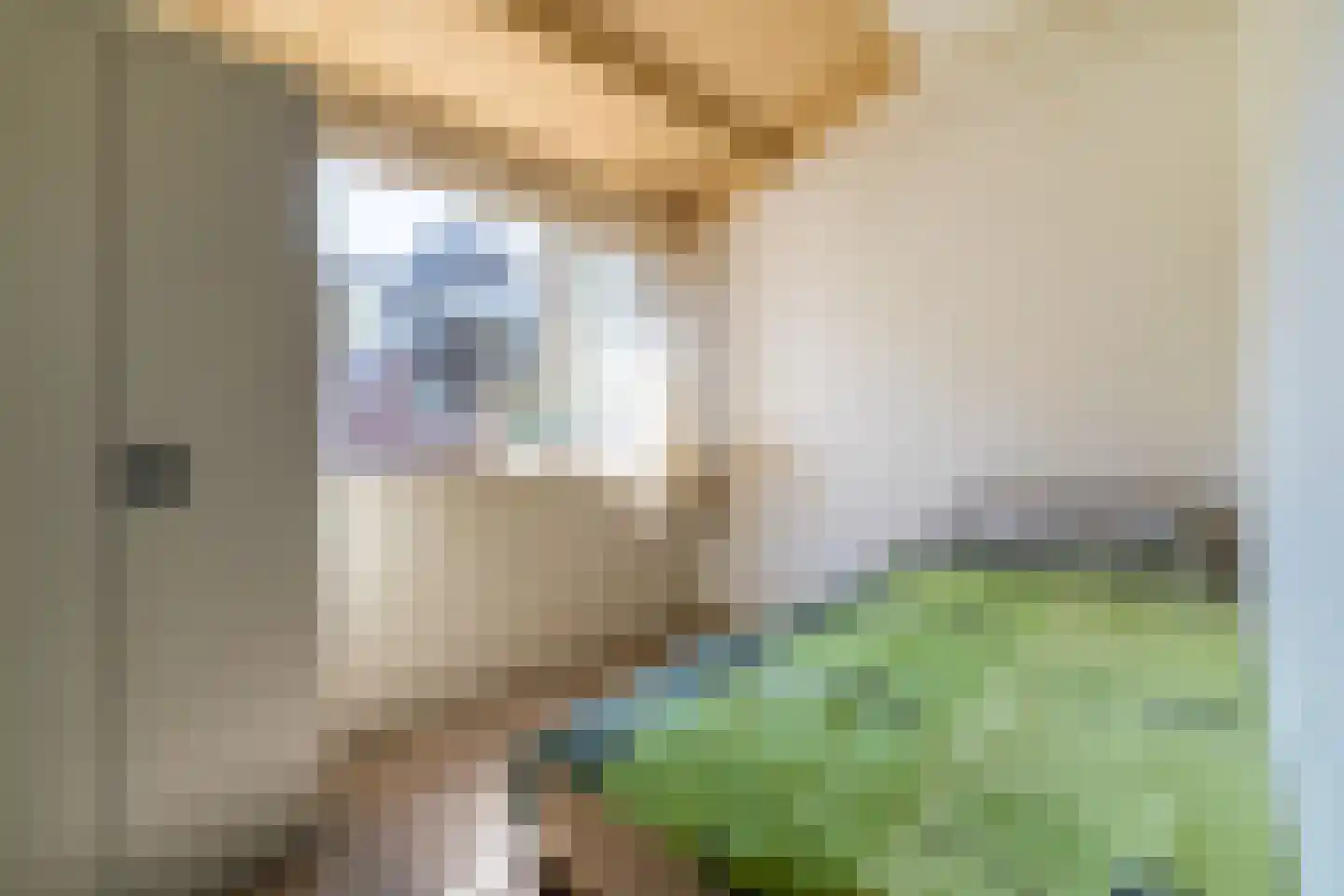 Stationsweg 3 Wezep thumbnail 27