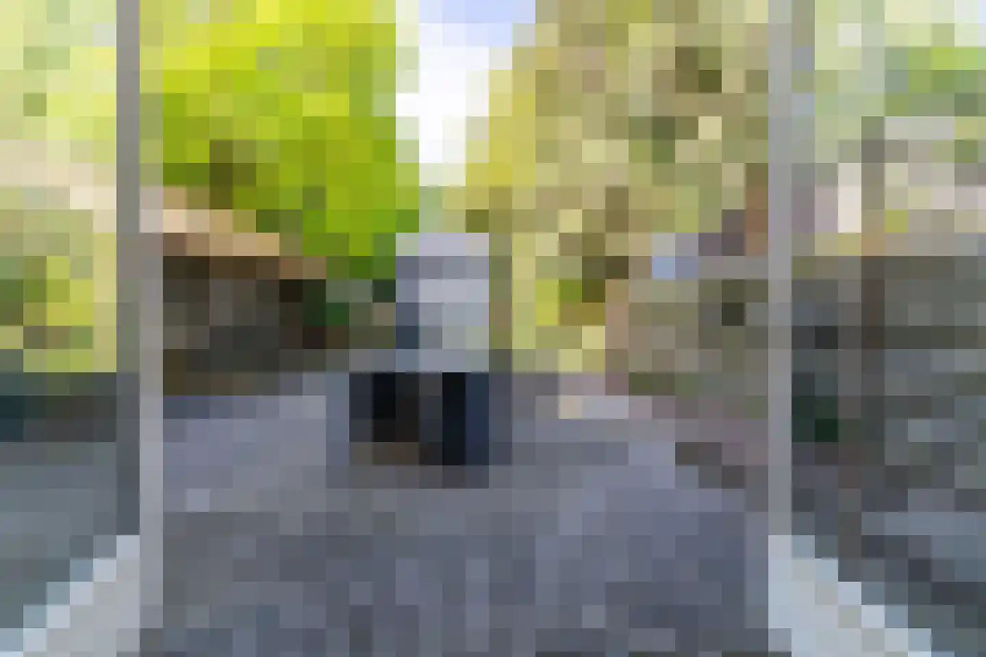 Stationsweg 3 Wezep thumbnail 30