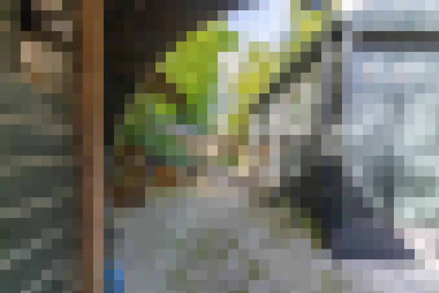 Stationsweg 3 Wezep thumbnail 33