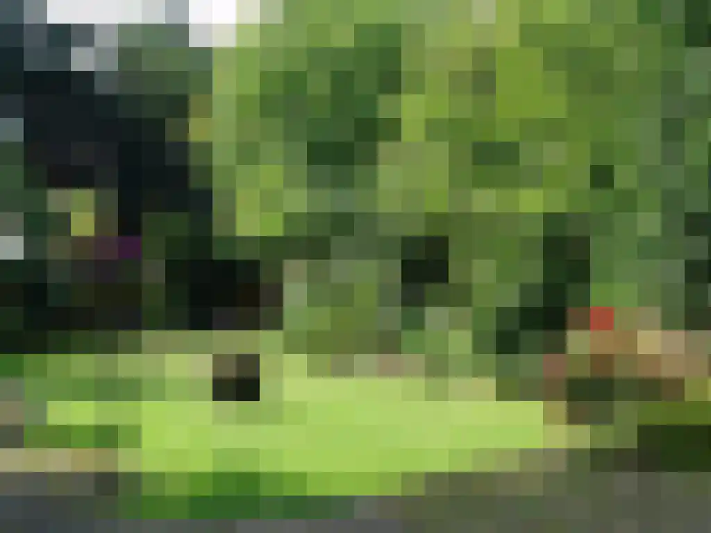 Stationsweg 3 Wezep thumbnail 36
