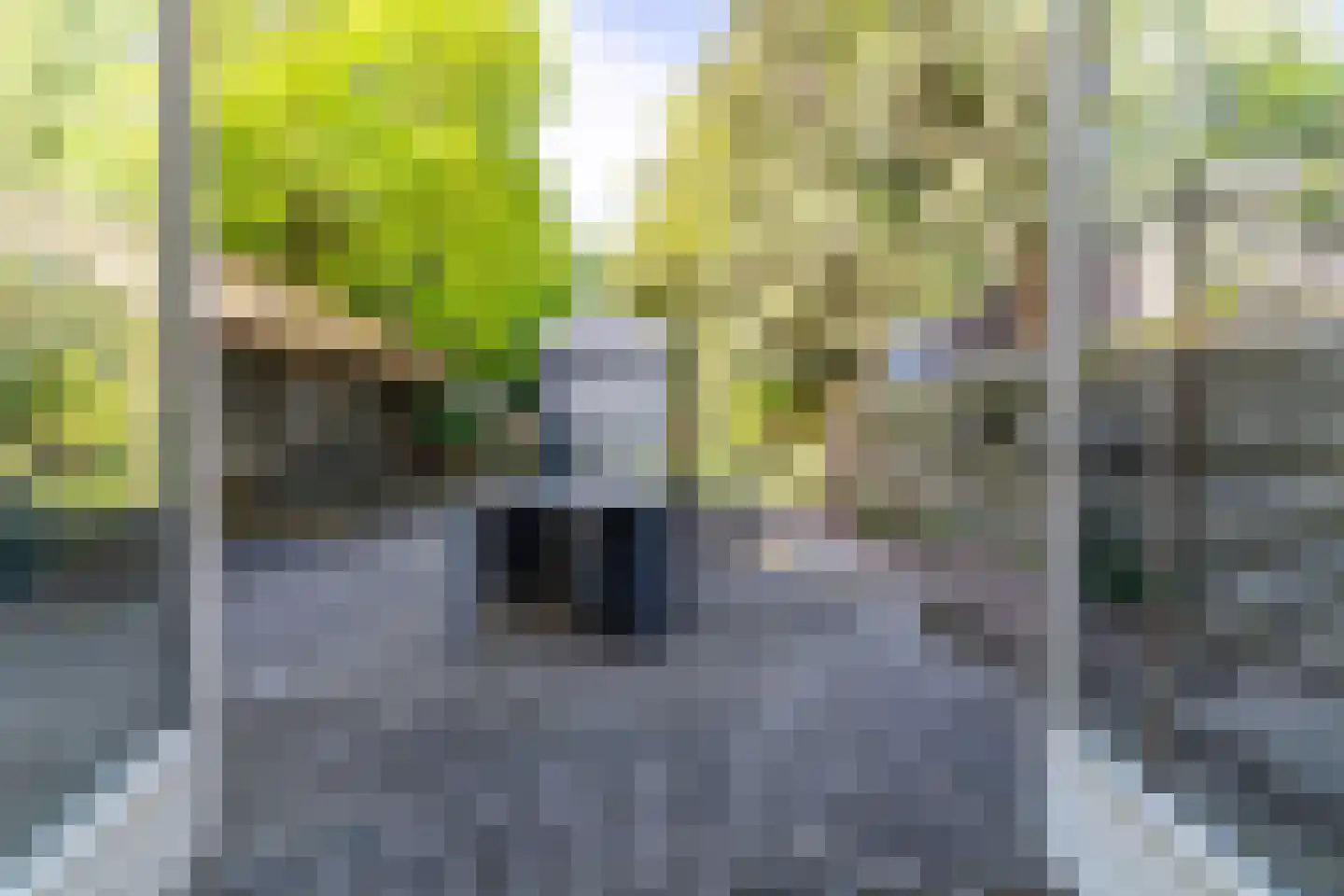 Stationsweg 3 Wezep thumbnail 4