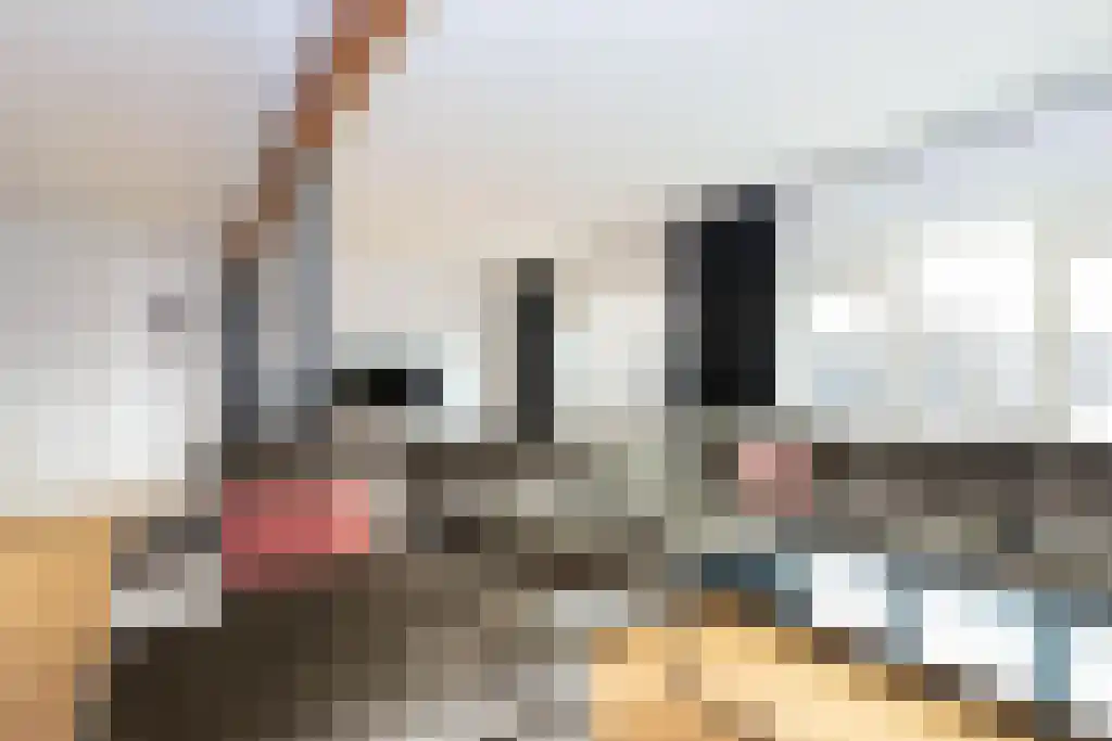 Stationsweg 31 a Geertruidenberg thumbnail 10