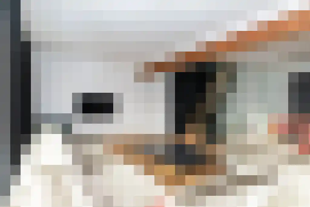 Stationsweg 31 a Geertruidenberg thumbnail 12